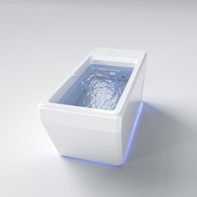Freestanding Electric Bath Tub Chiller Water Chillers For Ice Bath High Efficiency