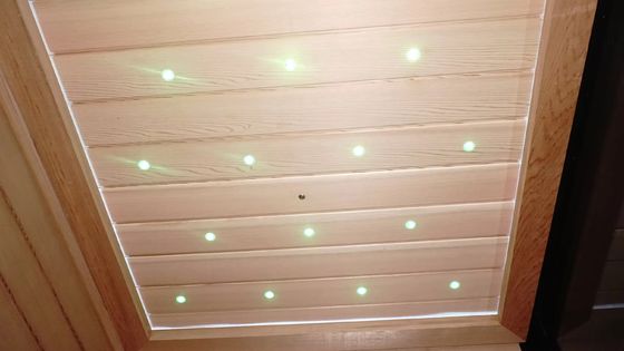 Custom Interior Steam Sauna Rooms Traditional With 8mm Tempered Glass Door